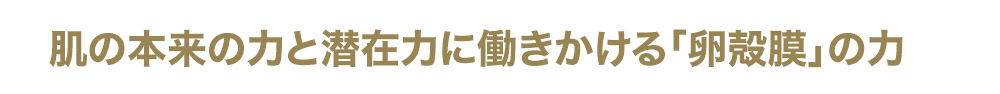 肌の再生力※1と潜在力に働きかける「卵殻膜」の力