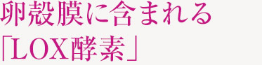 卵殻膜に含まれる美肌酵素「LOX酵素」