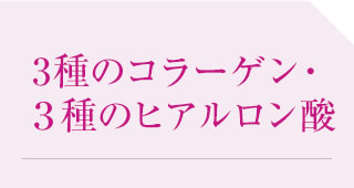 3種のコラーゲン・３種のヒアルロン酸