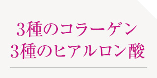 3種のコラーゲン3種のヒアルロン酸