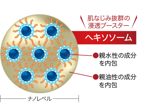 ヘキソソーム