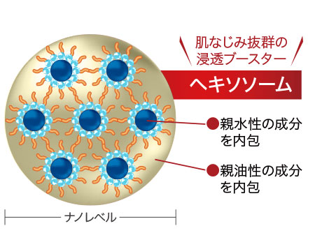 ヘキソソーム