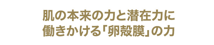 肌の再生力※1と潜在力に働きかける「卵殻膜」の力