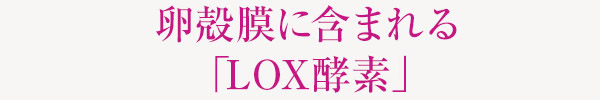 卵殻膜に含まれる美肌酵素「LOX酵素」