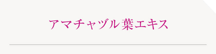 アマチャヅル葉エキス