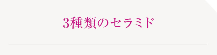 3種類のセラミド