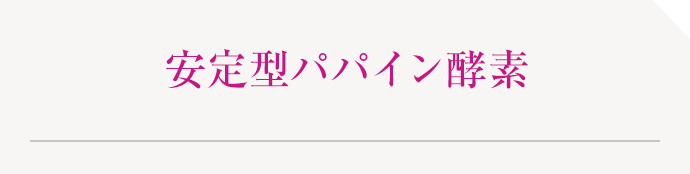 安定型パパイン酵素