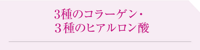 3種のコラーゲン・３種のヒアルロン酸