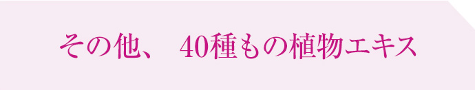 その他、40種もの植物エキス