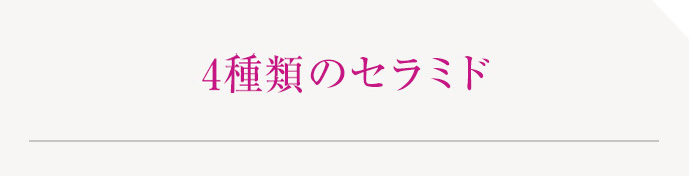 4種類のセラミド