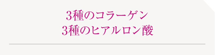 3種のコラーゲン3種のヒアルロン酸