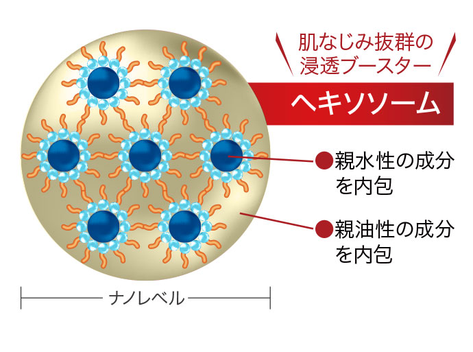 ヘキソソーム