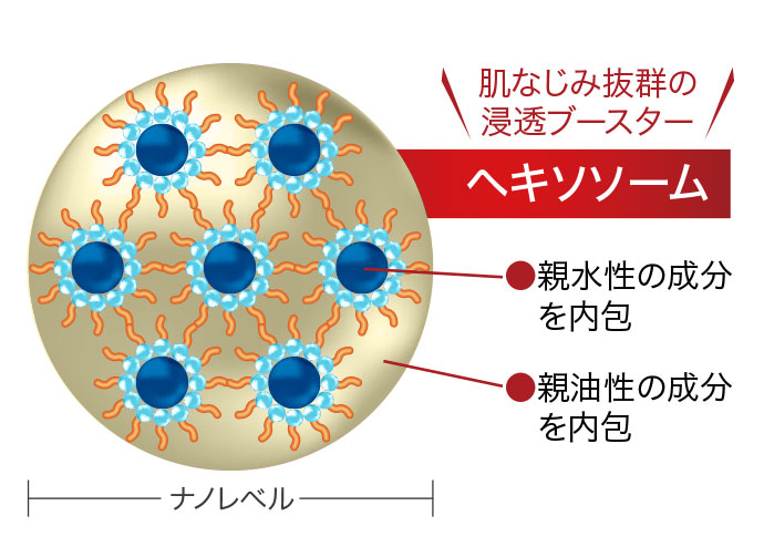 ヘキソソーム